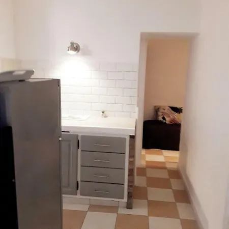 Les Fleurs Apartment Cannes