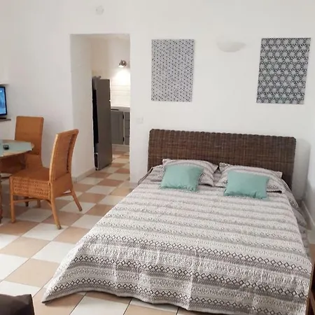 Les Fleurs Apartment Cannes